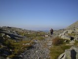 img003.jpeg.small.jpeg