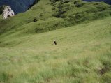 img114.jpeg.small.jpeg